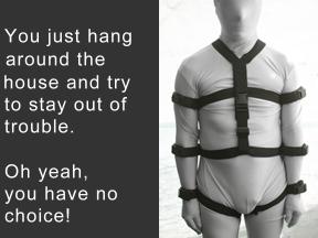 Full body webbing restraint harness