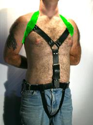 Main posture restraint portion