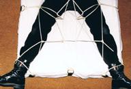 Bed web restraint system