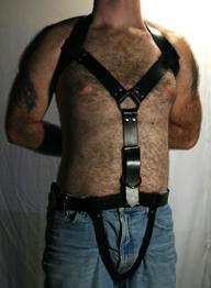 Posture Restraint System